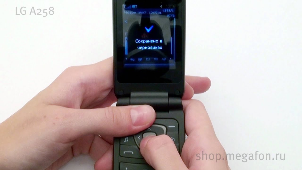 LG A258 Resim 2