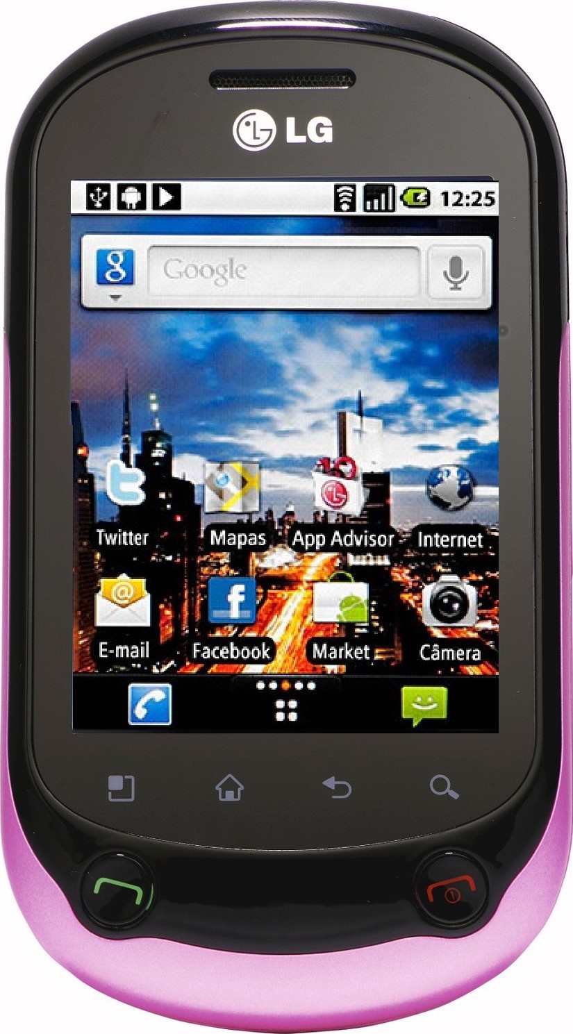 LG Optimus Chat C550