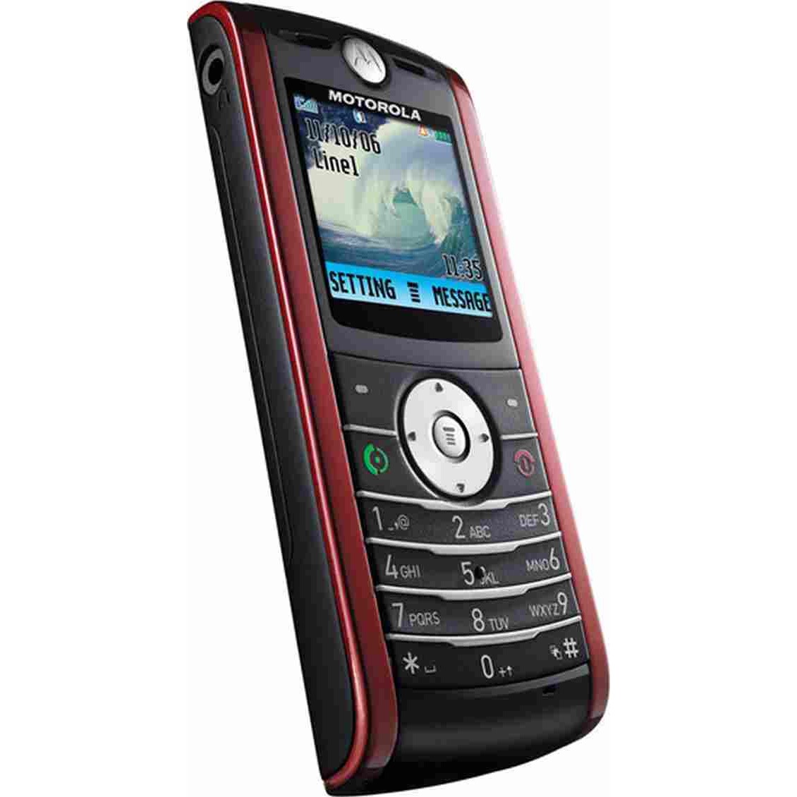 Motorola W209
