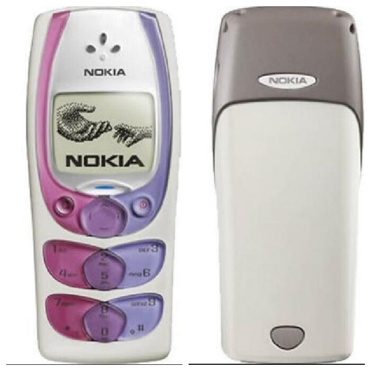 Nokia 2300
