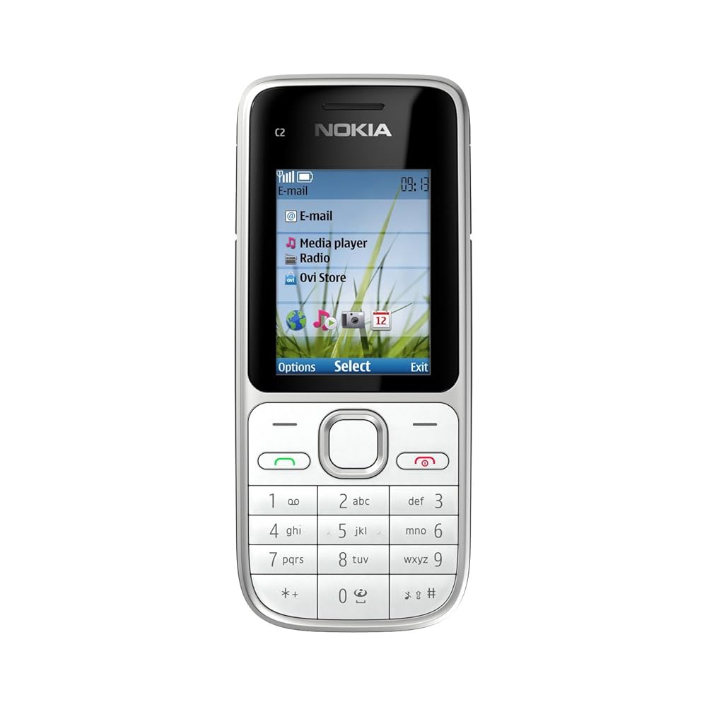 Nokia C2-01 Resim 2