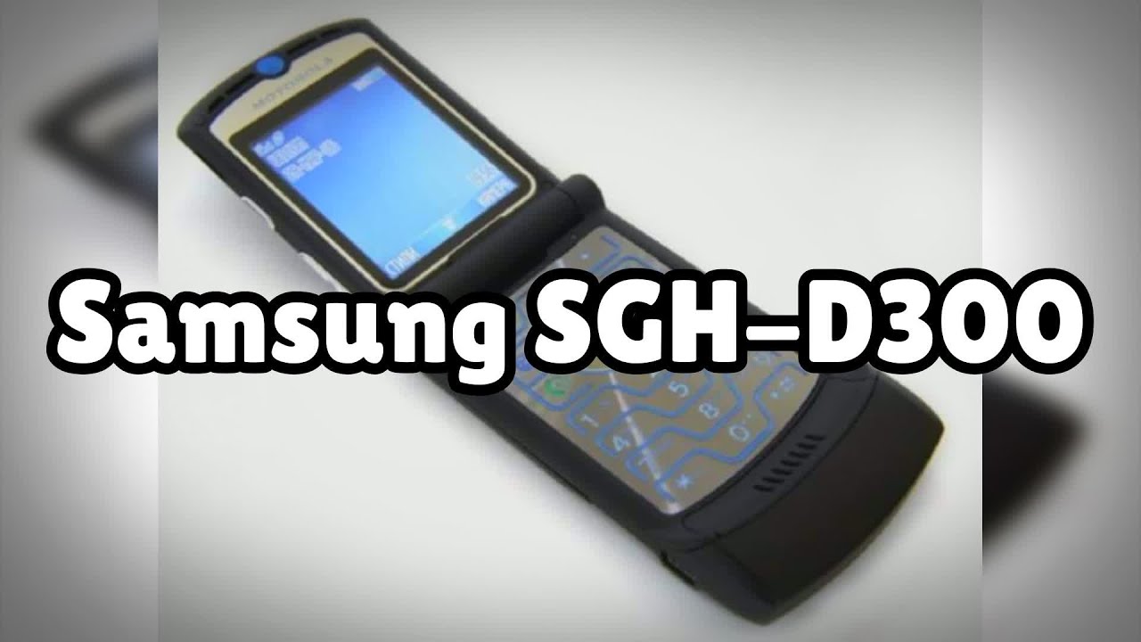 Samsung D300