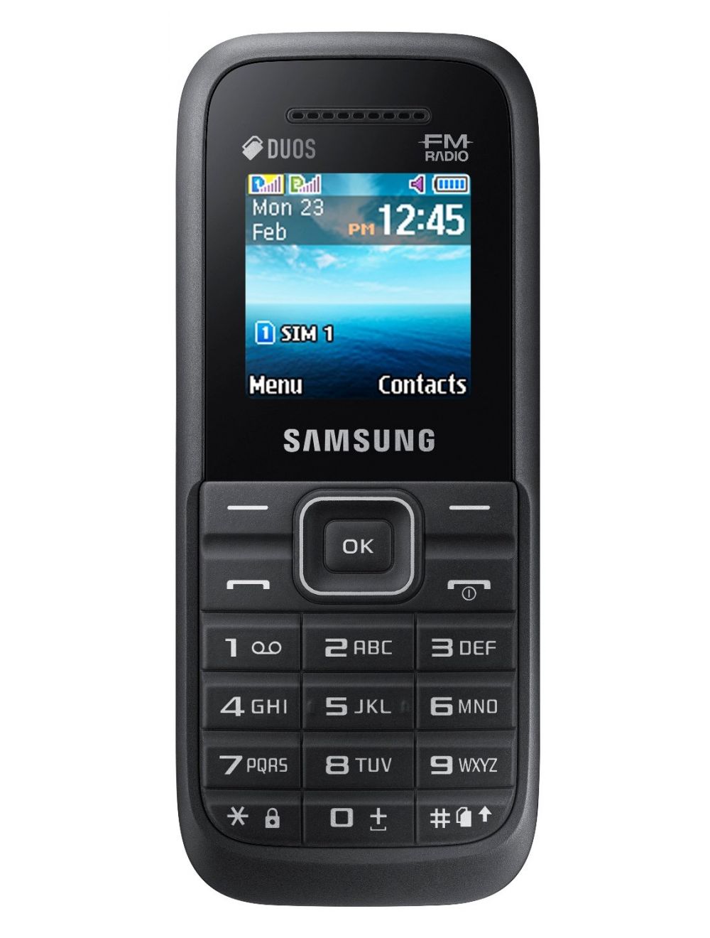 Samsung Guru Dual 26
