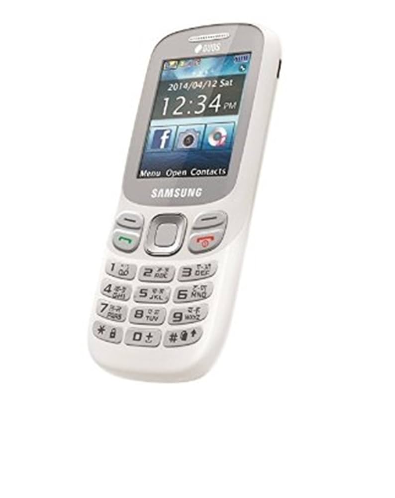 Samsung Metro 312