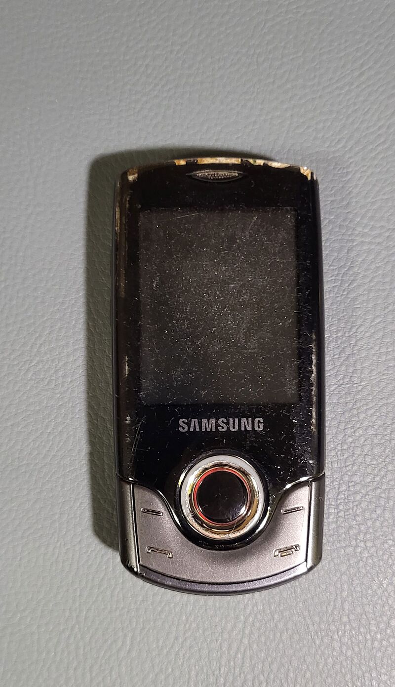 Samsung S3100