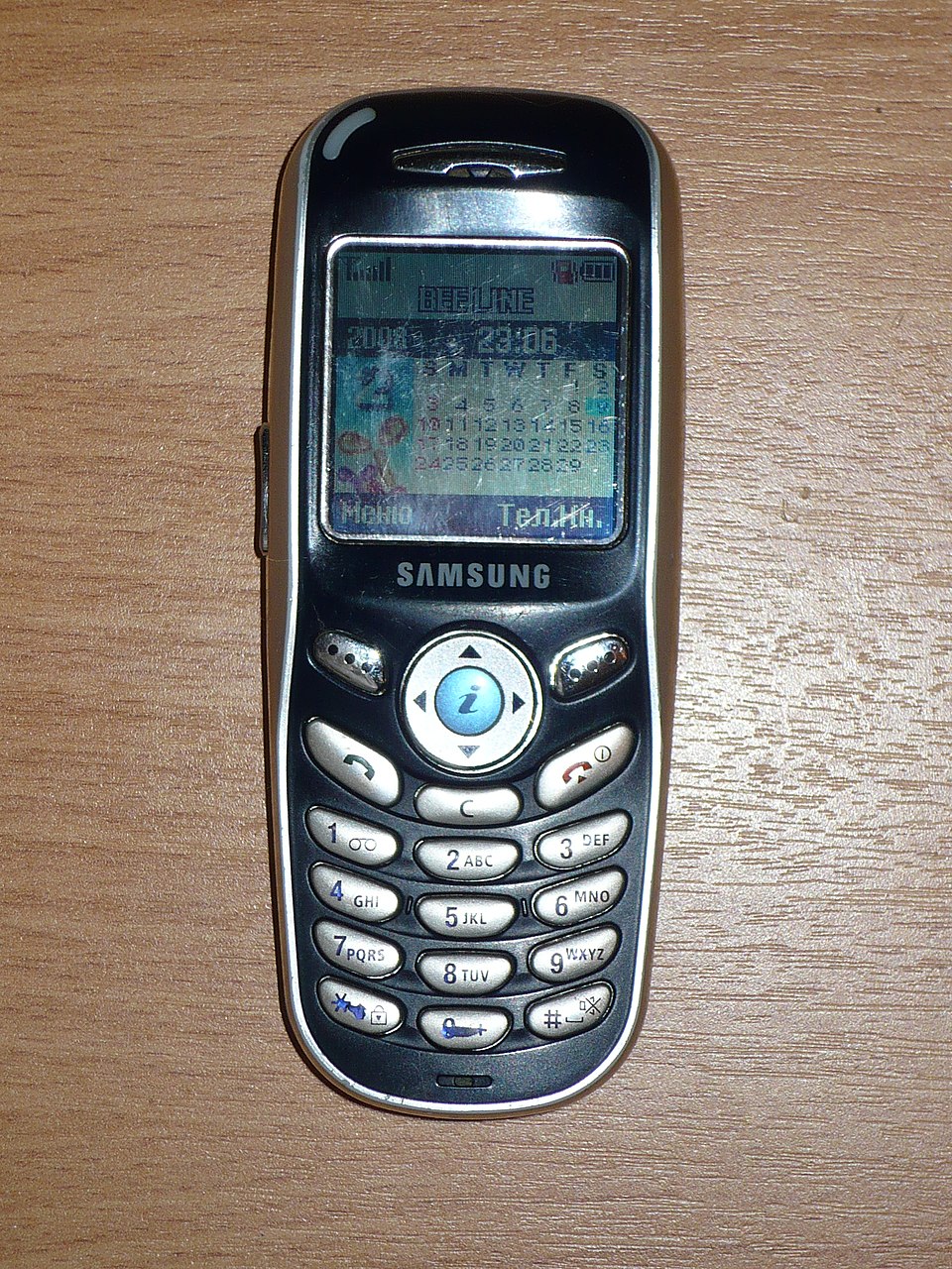 Samsung X100 Resim 2