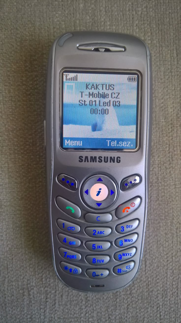 Samsung X100 Resim 5