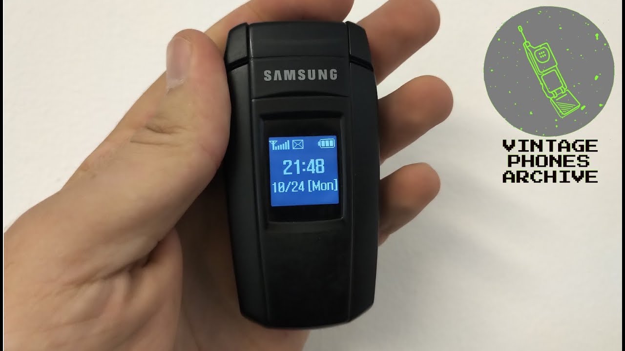 Samsung X300