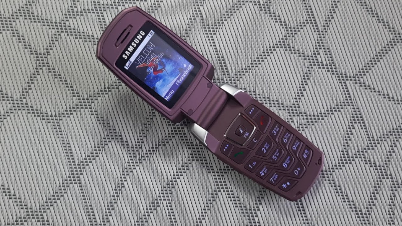 Samsung X300 Resim 2