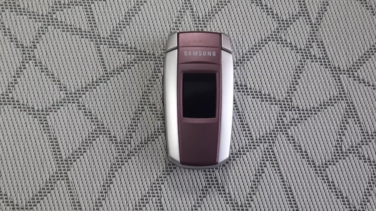 Samsung X300 Resim 3