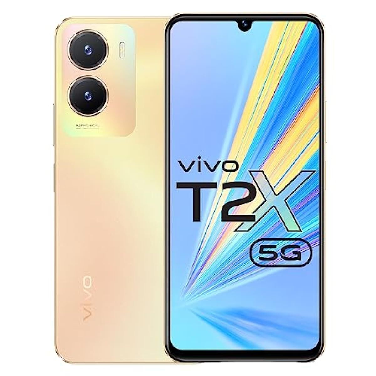vivo T2x